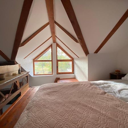 Mitrovic Apartment Boljevac ภายนอก รูปภาพ