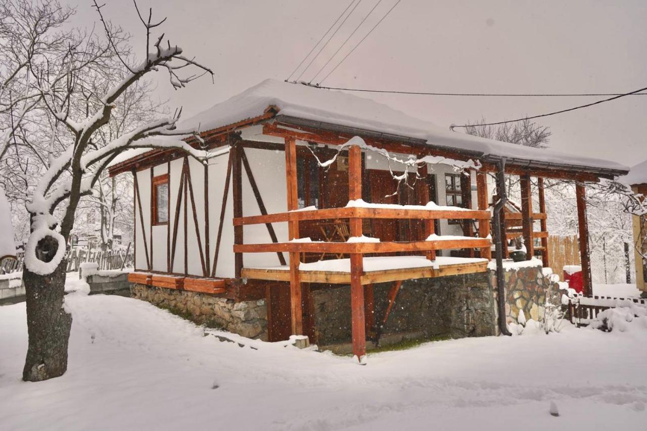 Mitrovic Apartment Boljevac ภายนอก รูปภาพ