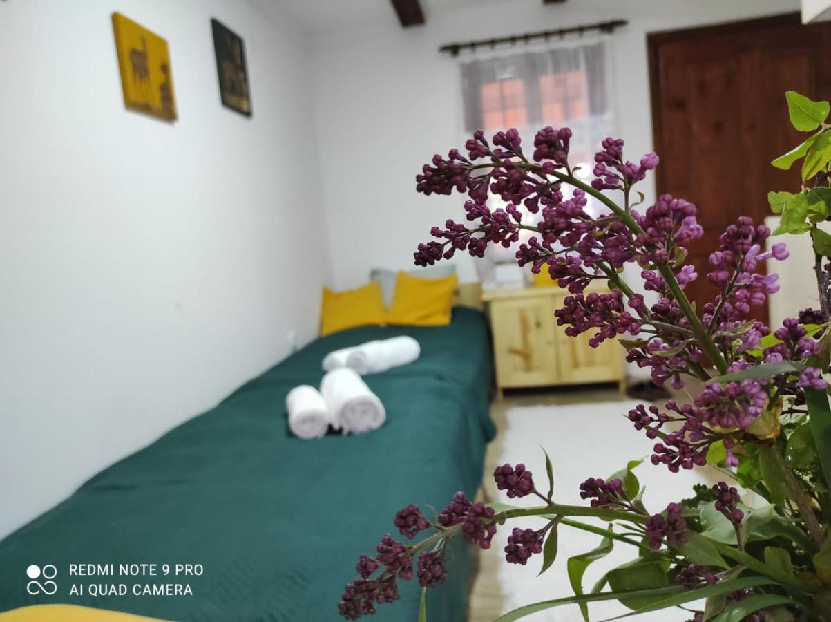 Mitrovic Apartment Boljevac ภายนอก รูปภาพ