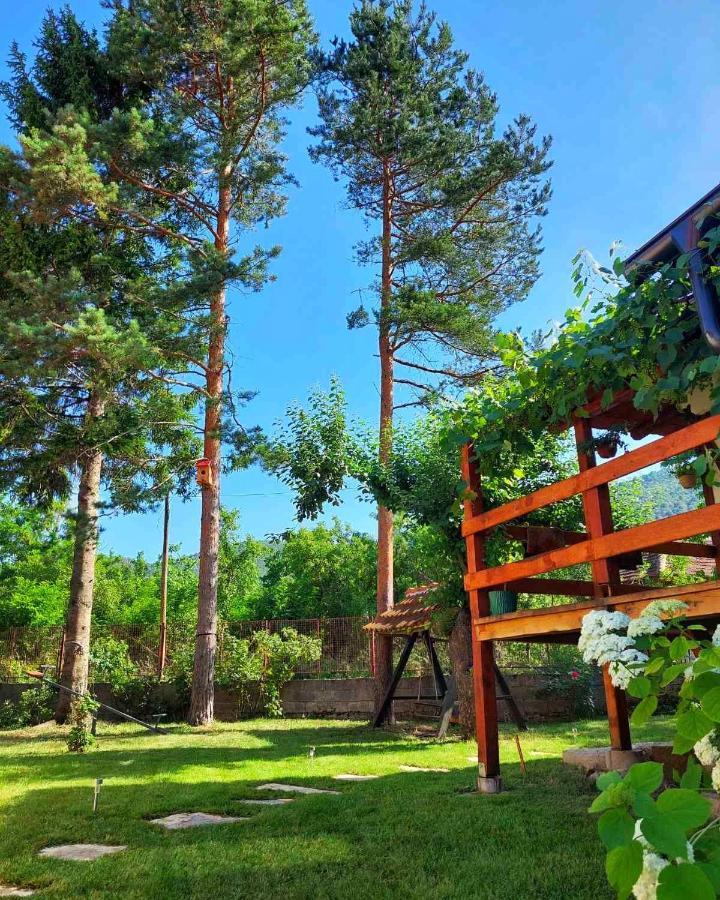 Mitrovic Apartment Boljevac ภายนอก รูปภาพ