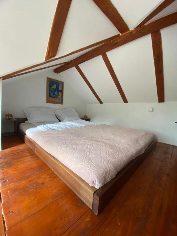 Mitrovic Apartment Boljevac ภายนอก รูปภาพ