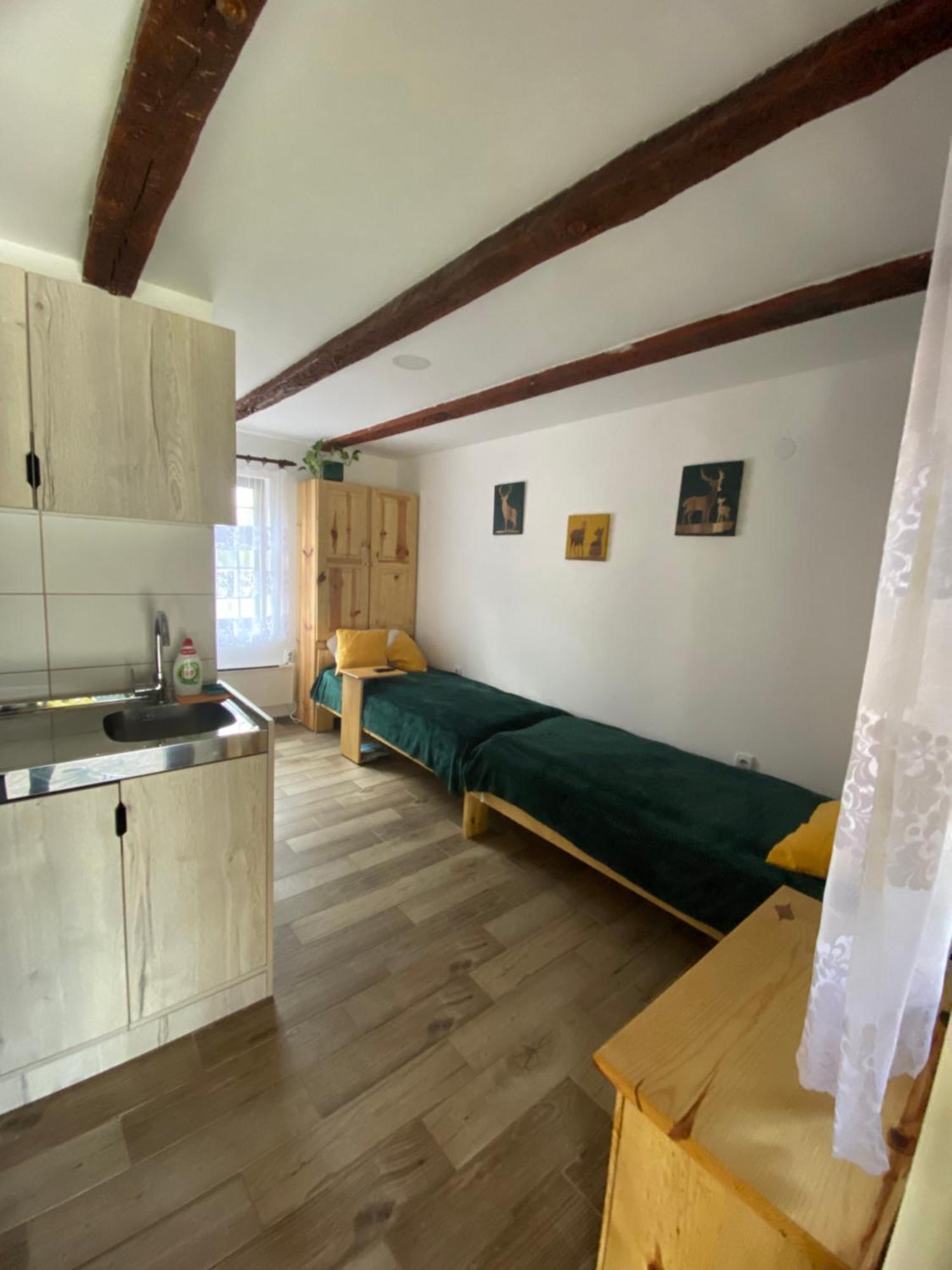 Mitrovic Apartment Boljevac ภายนอก รูปภาพ